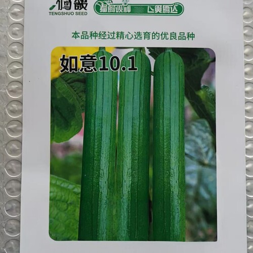 如意101丝瓜种子碧美人油皮丝瓜种子香丝瓜种子丝瓜种子四季高产