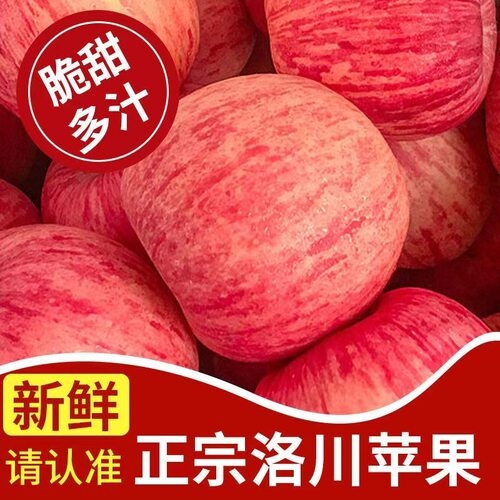 果臻甜专属正宗陕西洛川红富士苹果脆甜多汁皮薄肉厚原产地直发