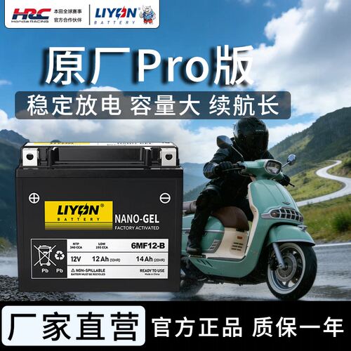 LIYON力扬电池维多利亚Sixties150i 150Si 250Si 300i 摩托车电瓶
