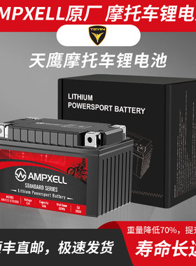天鹰TS150/超级鹰E125S/VE UCR125新悦星适用摩托车锂电池电瓶