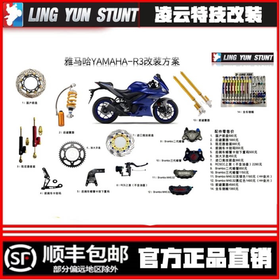 雅马哈YAMAHA-R3改装方案