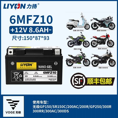 力扬电池摩托车无极原厂300R/300RR/300AC/300DS摩托车电瓶