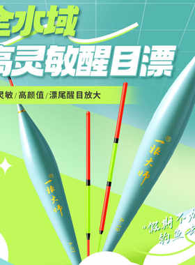四季通用A系列浮漂一根大师
