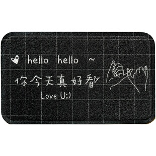 loop doo 极速Nordic PVC simple dSoor mat household floor