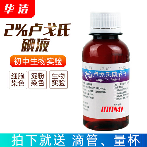 2%鲁戈氏碘液华洁染色初中生物实