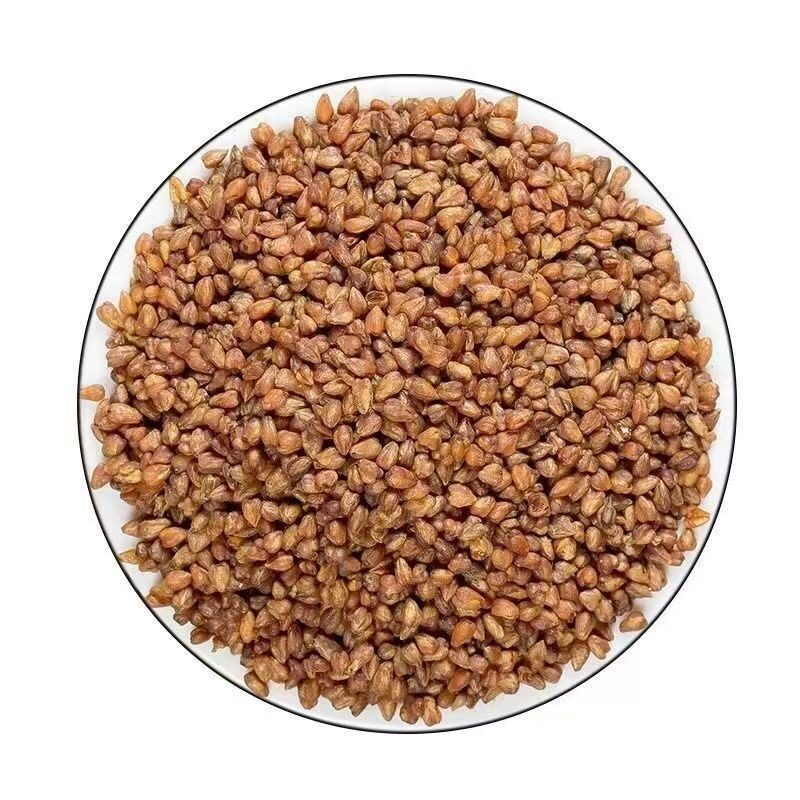 【到手2斤】黑苦荞茶黑珍珠苦荞正品正宗四川大凉山苦荞全胚芽香
