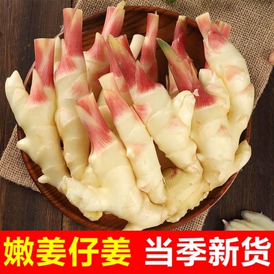 新鲜山东嫩姜仔姜子姜做糖醋姜泡姜鲜嫩农家黄姜现挖现发
