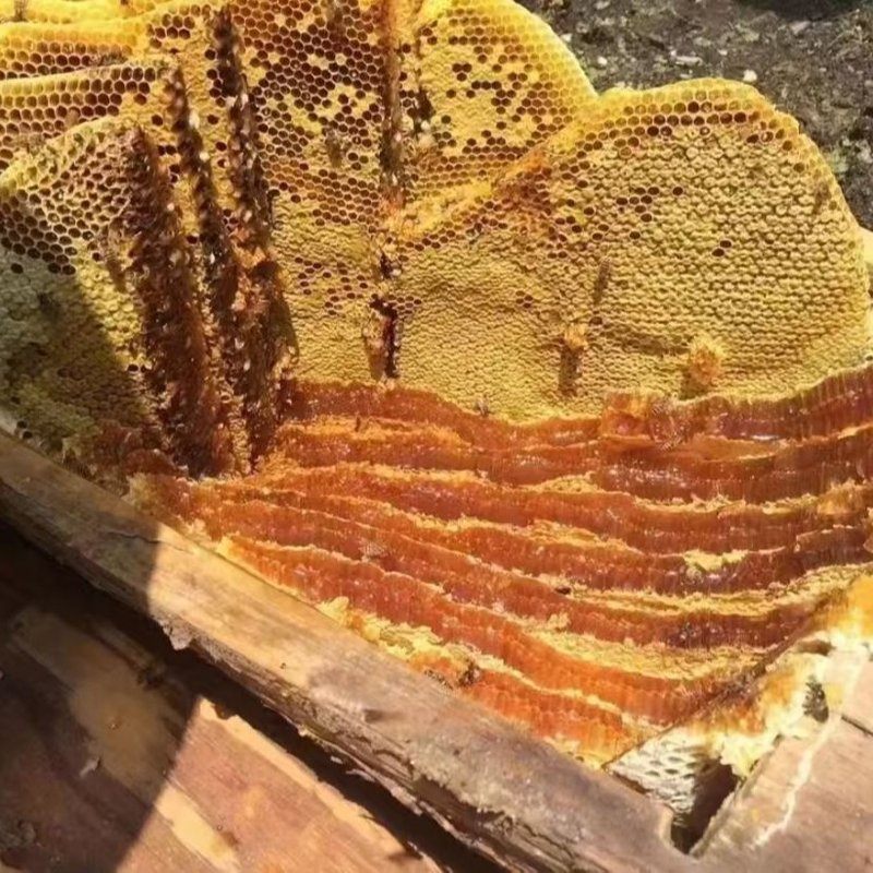 【支持试吃】深山农家天然正百花土蜂蜜自产自销