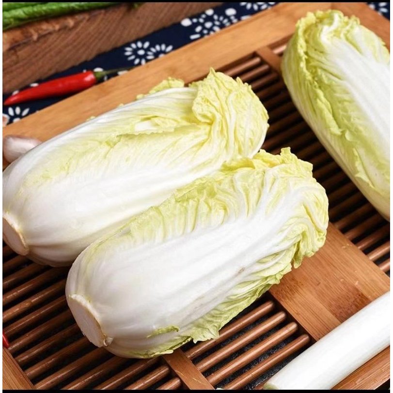 甘肃农家自种黄心娃娃菜清甜可口脆嫩爽口新鲜时令蔬菜火锅软糯