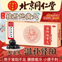 北京同仁堂桂附地黄丸正品官方旗舰店浓缩大蜜丸温补肾阳