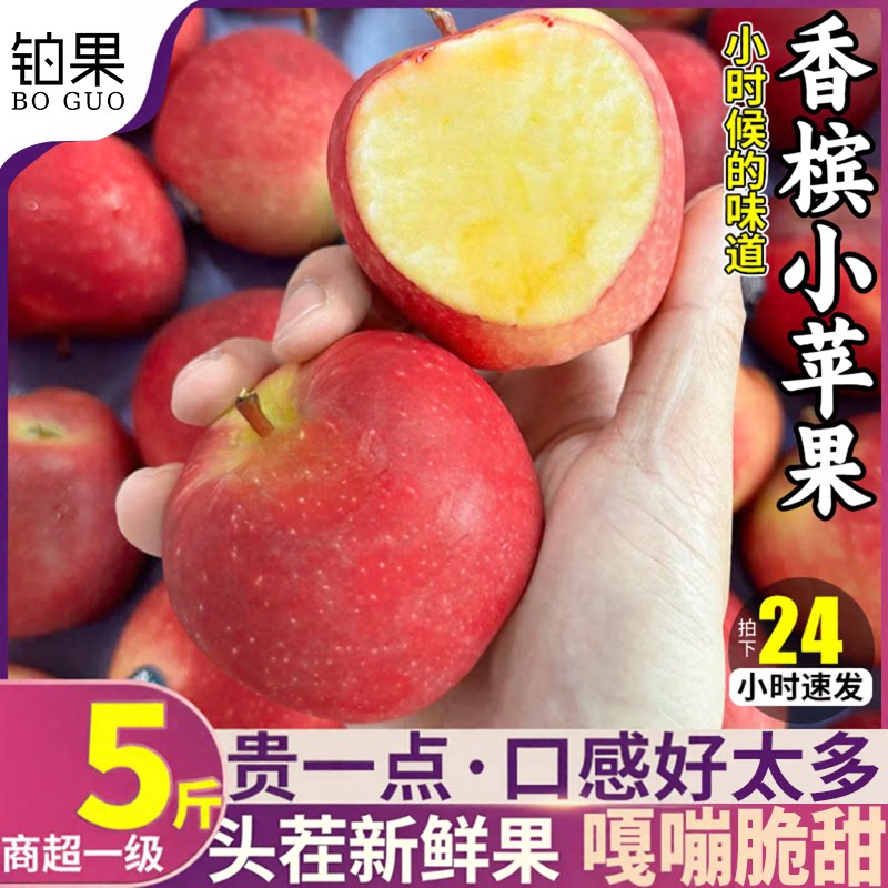 香槟小苹果丨仅1%的人吃过!