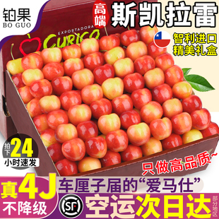 顺丰空运天空之城4J斯凯拉雷黄金车厘子SkylarRae樱桃4斤智利进口