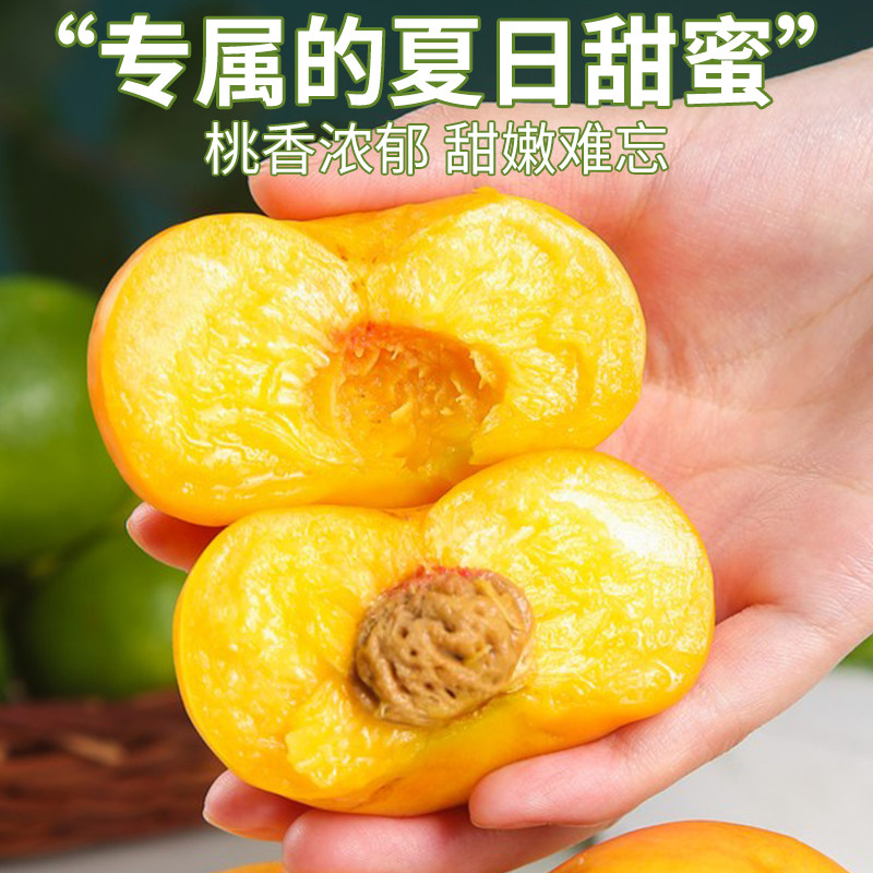 顺丰礼盒 5斤山东蒙阴黄金毛蟠桃当季水果时令桃子整箱黄桃包邮甜