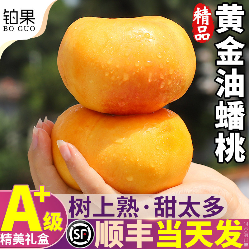 顺丰礼盒 5斤山东蒙阴黄金油蟠桃应季水果新鲜桃子油桃整箱包邮甜