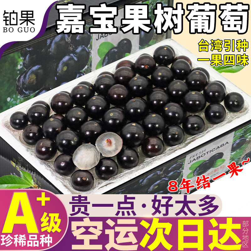 顺丰空运 5斤嘉宝果新鲜水果树葡萄鲜果当季整箱高端品种礼盒包邮图片