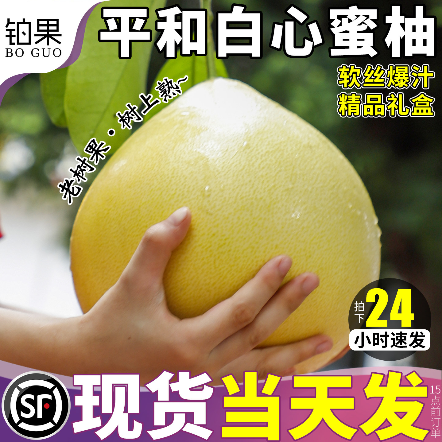 顺丰次日达丨平和白心柚软丝爆汁