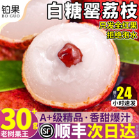 顺丰白糖罂荔枝8斤礼盒新鲜水果现摘现发当季特大果孕妇整箱包邮9