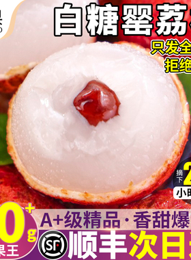 顺丰白糖罂荔枝8斤礼盒新鲜水果现摘现发当季特大果孕妇整箱包邮9