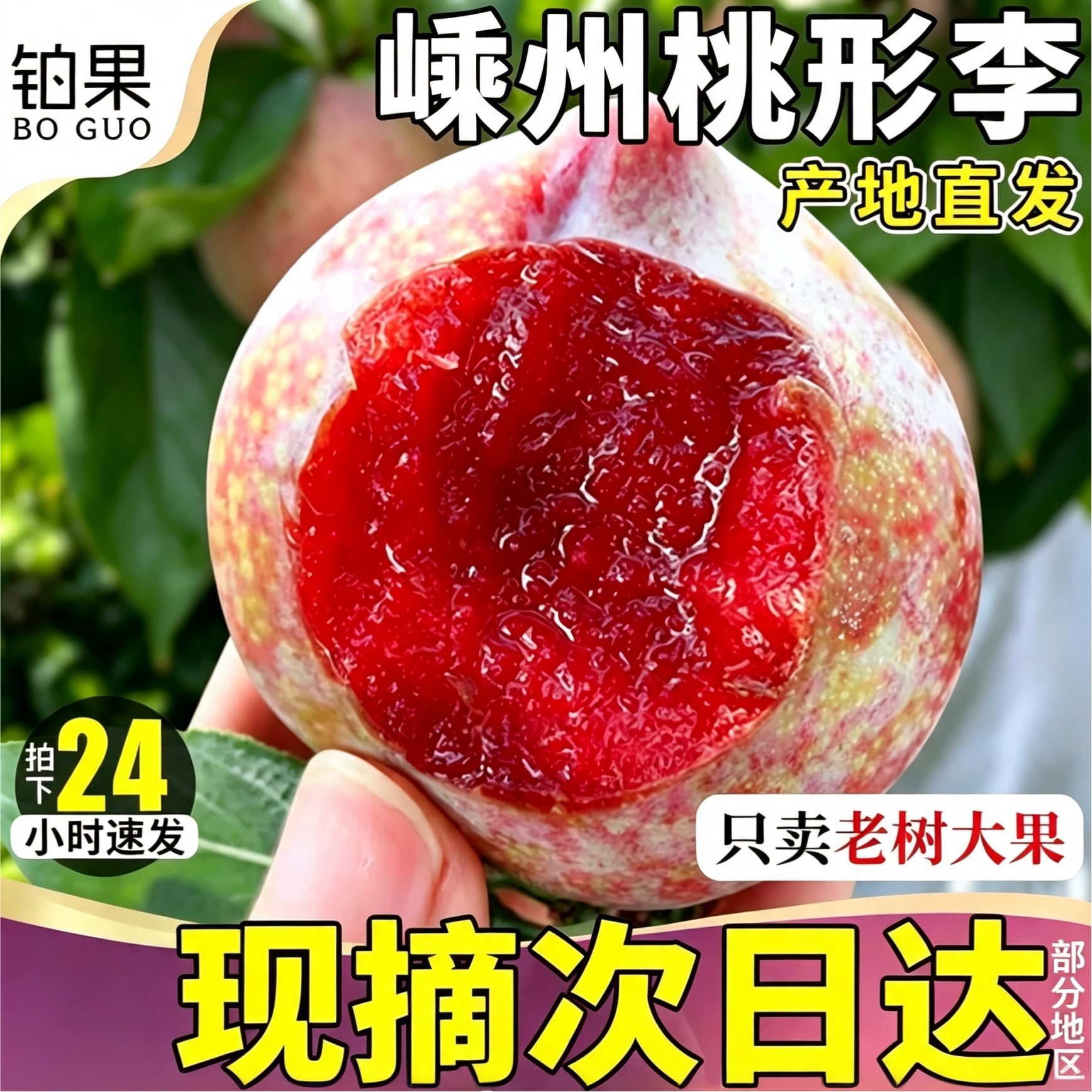 现摘次日达丨正宗嵊州桃形李脆甜