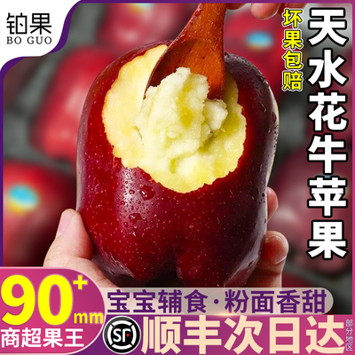 顺丰次日达丨宝宝辅食粉面花牛