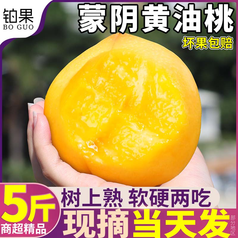 现摘当天发丨蒙阴黄桃