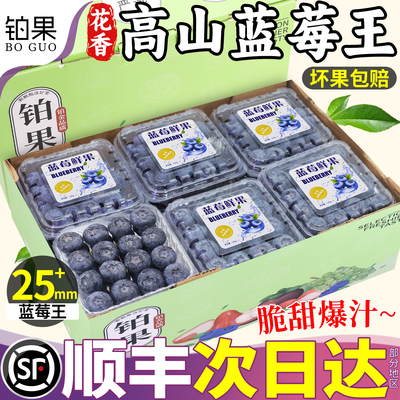 顺丰次日达丨高山蓝莓25mm限量装