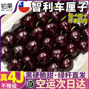 顺丰礼盒 智利进口车厘子5J 新鲜水果包邮当季整箱大樱桃旗舰店脆