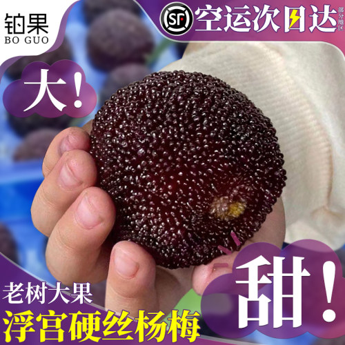 顺丰冷链次日达！浮宫特早大杨梅