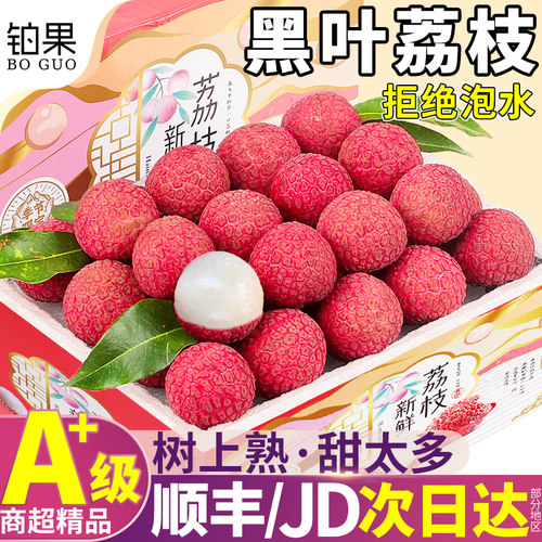 顺丰次日达|30年老树黑叶荔枝