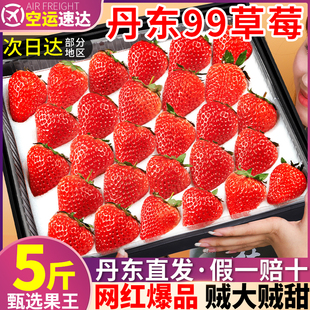 顺丰空运丹东99草莓5斤当季新鲜水果红颜孕妇奶油九九甜礼盒整箱3