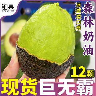 哈斯牛油果新鮮水果鱷梨秘魯進口大果當季 包郵 巨無霸15個裝 整箱
