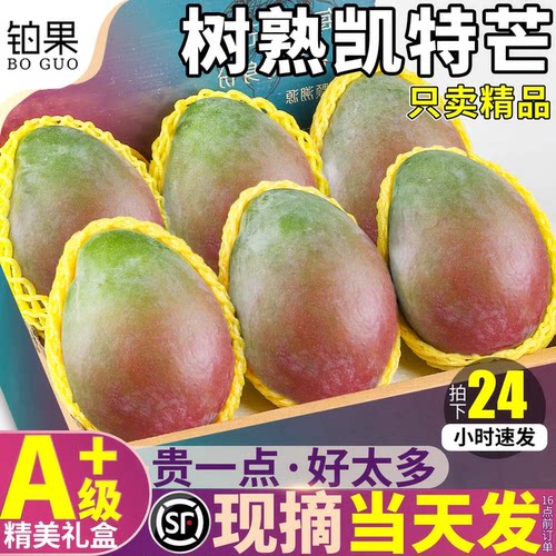 树上熟！顺丰精品凯特芒礼盒装