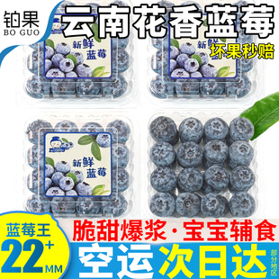 包邮 特大怡蓝梅鲜果整箱 空运12盒云南抚仙湖花香蓝莓新鲜水果当季