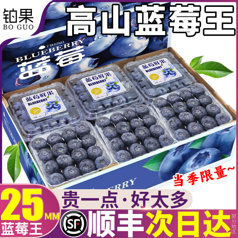 顺丰12盒山东蓝莓新鲜水果花香怡颗鲜果当季特大果礼盒装整箱包邮