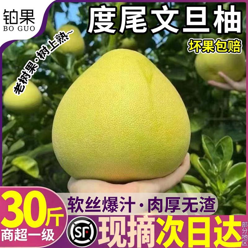 顺丰次日达|度尾文旦柚
