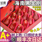 顺丰速达 5斤海南黑金刚莲雾水果礼盒莲雾果新鲜大果连雾整箱包邮