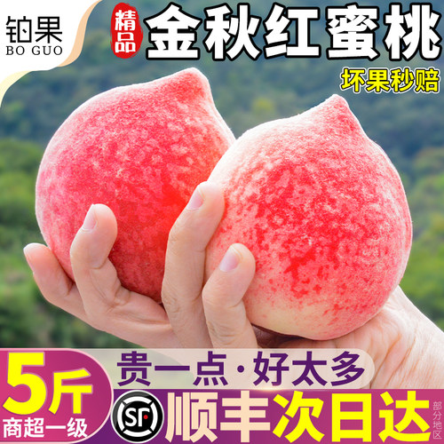 顺丰次日达丨高端礼盒金秋红蜜桃