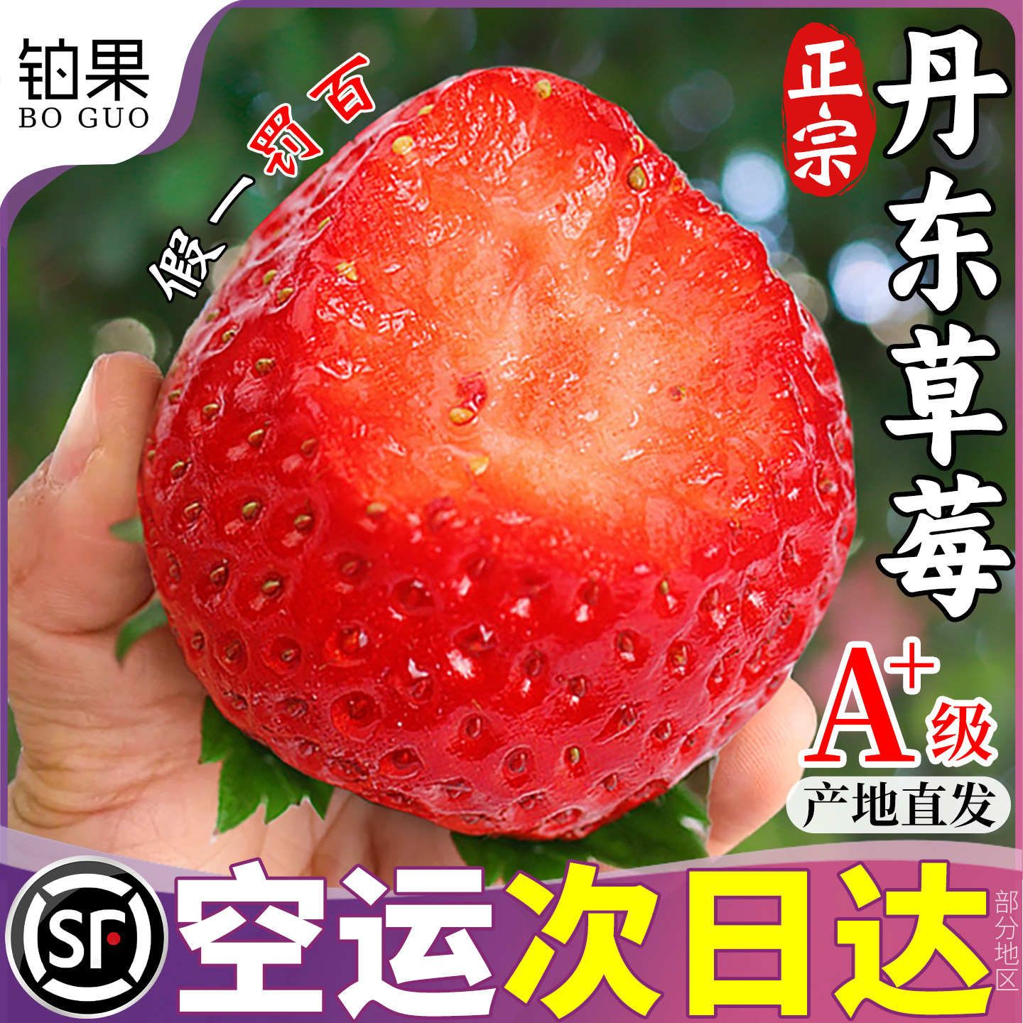 顺丰空运丹东99草莓新鲜水果当季红颜奶油九九整箱大草莓礼盒包邮