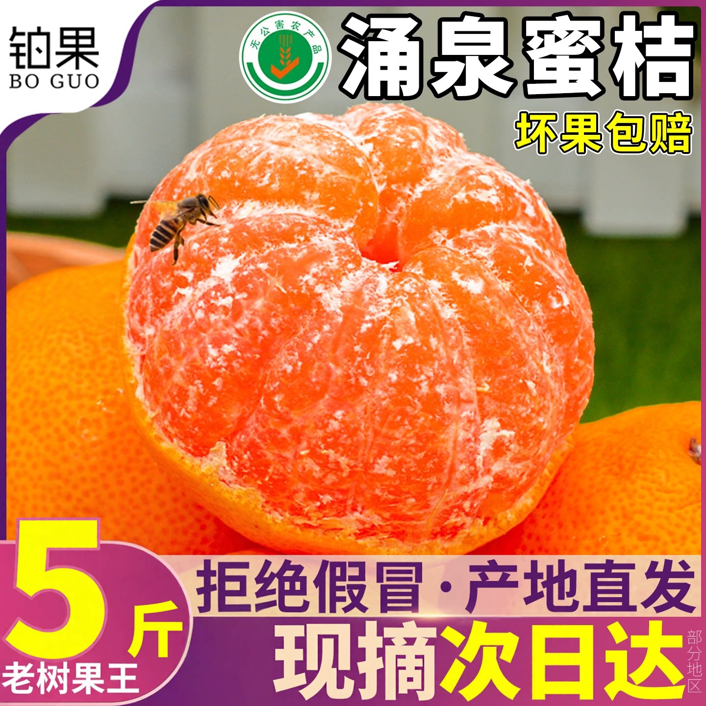 礼盒可选丨精品果王丨涌泉蜜桔