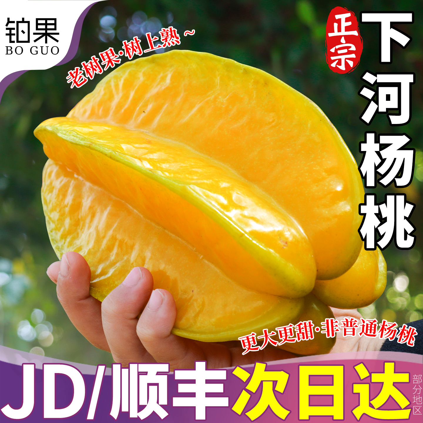 【顺丰速发】5斤福建下河甜杨桃~