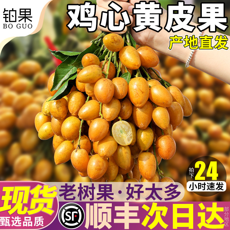 10斤广东整串鸡心黄皮果新鲜黄弹子孕妇水果鸡心冰糖当季整箱包邮