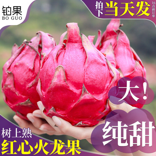 10斤红心火龙果爆甜多汁精选大果