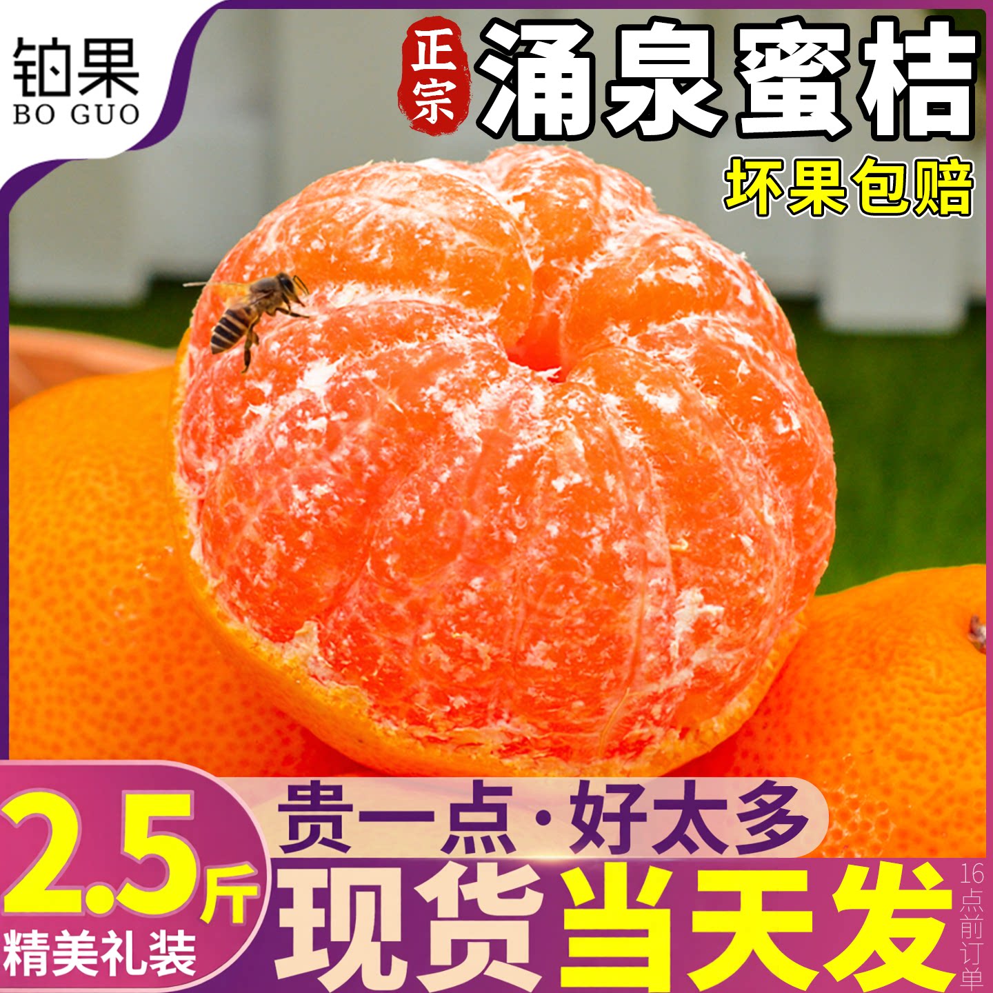 高端礼装丨精品大果丨涌泉蜜桔
