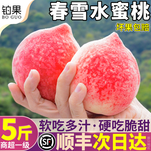 顺丰大果春雪水蜜桃桃子新鲜水果当季现摘脆甜毛桃整箱包邮礼盒