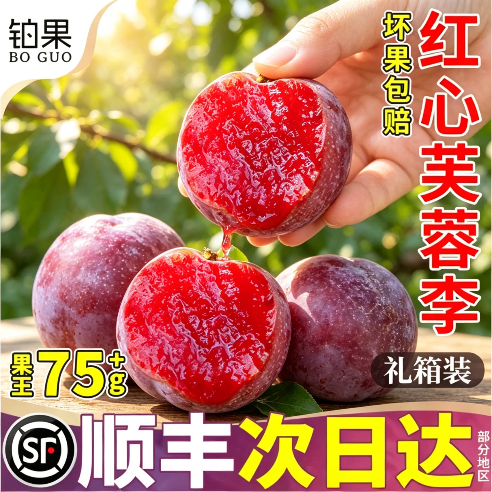 顺丰次日达丨130g果王红心芙蓉李
