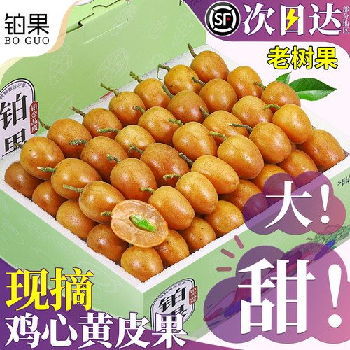 顺丰礼盒现摘鸡心黄皮果当季尝鲜