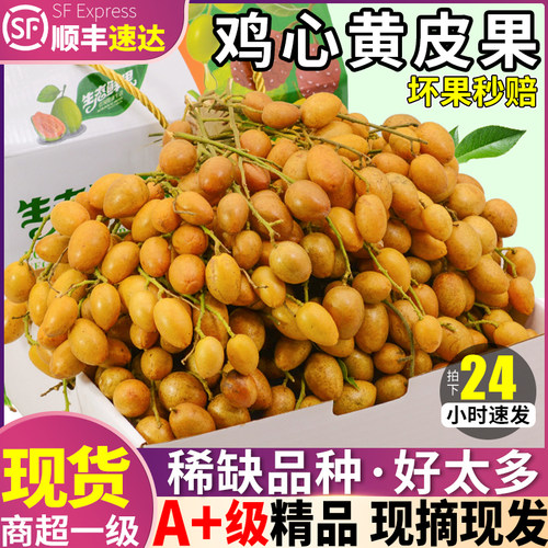 顺丰次日达丨现摘精选老树黄皮果