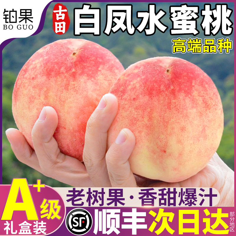 顺丰次日达丨古田白凤水蜜桃现货