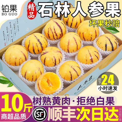 铂金品质丨石林人参果丨拒绝白果