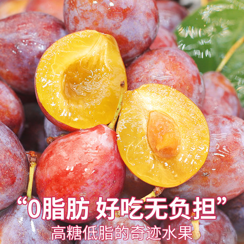 时令鲜果丨新疆法兰西西梅顺丰达